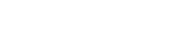 NanoPro